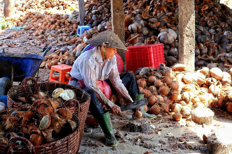 Mekong Coconut Candy - Vietnam Travels gallery