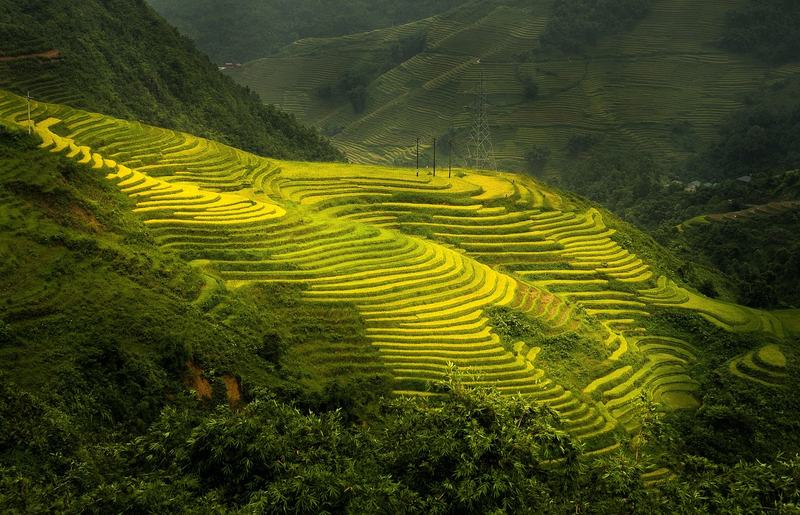 Sapa Terraces - Vietnam Travels gallery
