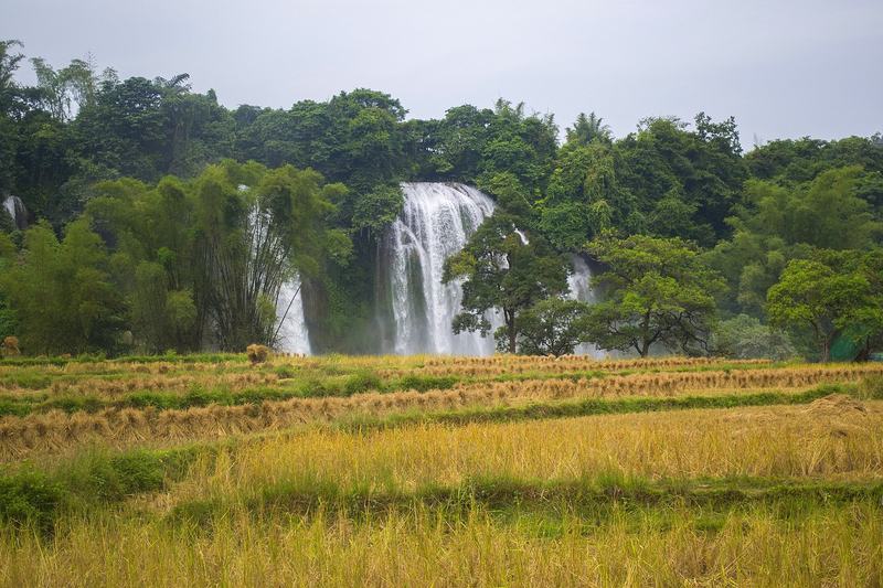 Vietnam Jungle Waterfall - Vietnam Travels gallery