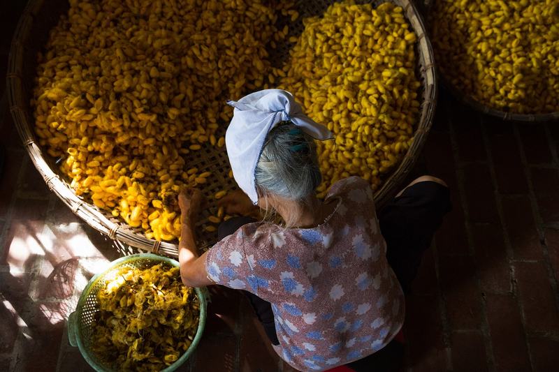 Vietnam Silk Weaving - Vietnam Travels gallery
