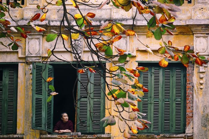 Busy street in the Old Quarter of Hanoi, Vietnam