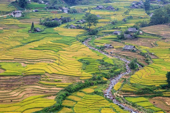 Terraced rice fields on a mountainside near Sapa, Vietnam