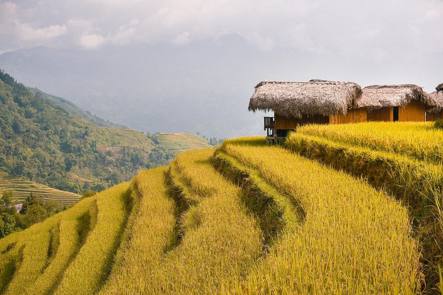 Winding mountain road through the Ha Giang Loop in northern Vietnam